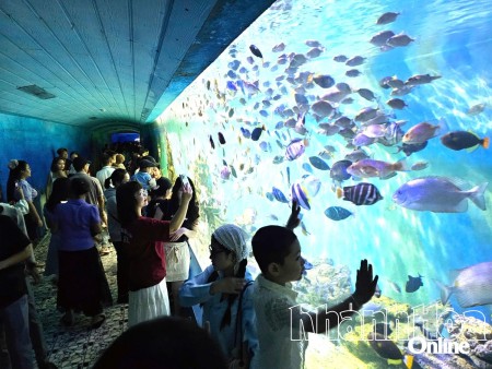 Bảo tàng Hải dương học hút khách tham quan